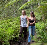 Blackheath Glen Tourist Park - Accommodation Tasmania