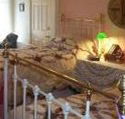 A Winter-Rose Cottage Bed and Breakfast - Accommodation Tasmania
