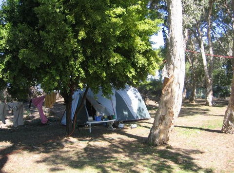 Armstrong Beach Caravan Park - Accommodation Tasmania 1