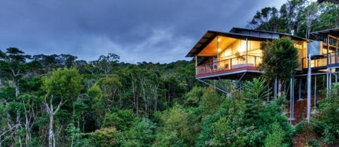 OReillys Mountain Villas - Accommodation Tasmania 1