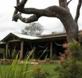 The Hollow Log Country Retreat - Accommodation Tasmania