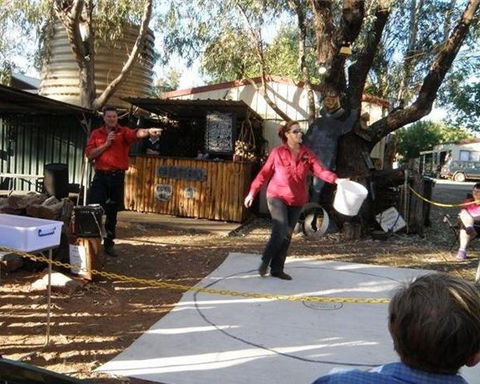 BAILEY BAR CARAVAN PARK - Accommodation Tasmania 1
