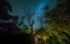 Kerriley Park Forest And Farmstay - thumb 6