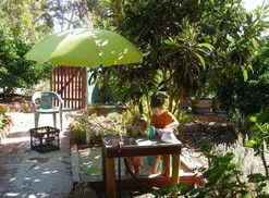 Karri Patch Cottage - Accommodation Tasmania 3