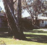 Winbi River Resort - Accommodation Tasmania