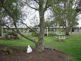 The Gold Sovereign Motor Inn - Accommodation Tasmania 0