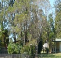 Nimbin Backpackers at Grannys Farm - Accommodation Tasmania