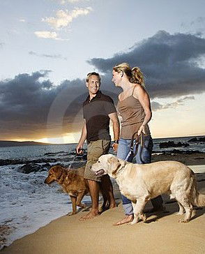 Four Seasons Holiday Park - Accommodation Tasmania 3