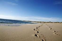 Kalbarri Palm Resort - Accommodation Tasmania 4