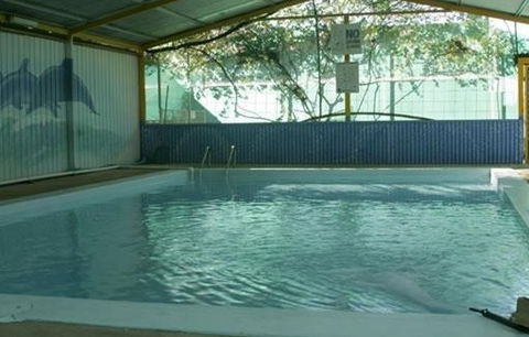 Wycliffe Well Holiday Park - Accommodation Tasmania 1