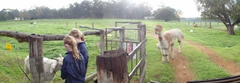 Boronia Farm Farmstay - Accommodation Tasmania 0