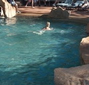 Undara Experience Lava Lodge - Accommodation Tasmania