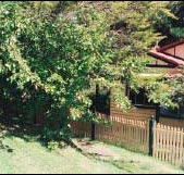 Apple Tree Cottage - Accommodation Tasmania
