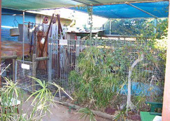 Safari Lodge Motel - Accommodation Tasmania 1