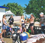 Shark Bay Cottages - Accommodation Tasmania