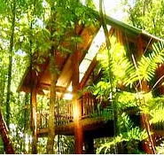 The Canopy Treehouses - Accommodation Tasmania