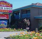 Strzelecki Motor Lodge - Accommodation Tasmania