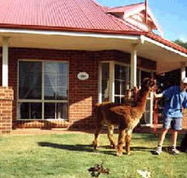 Brilea Cottages - Accommodation Tasmania