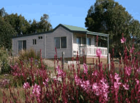 Daysy Hill Country Cottages - Accommodation Tasmania 5