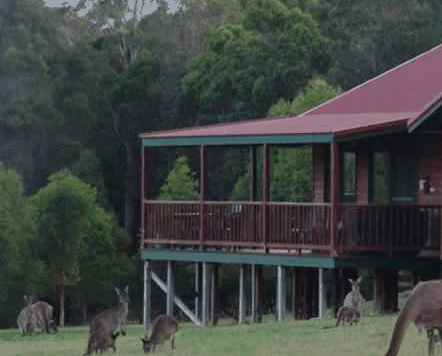 Walpole Wilderness Resort - Accommodation Tasmania