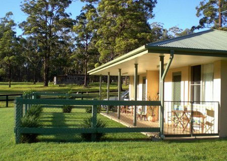 Neds Bed Horse O Tel - Accommodation Tasmania 1