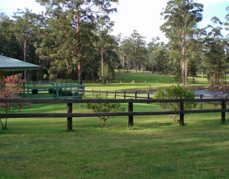 Neds Bed Horse O Tel - Accommodation Tasmania 2
