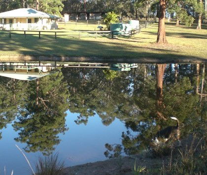 Neds Bed Horse O Tel - Accommodation Tasmania 4