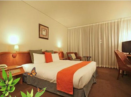 Absolute Beachfront Novotel Pacific Bay - Accommodation Tasmania 1