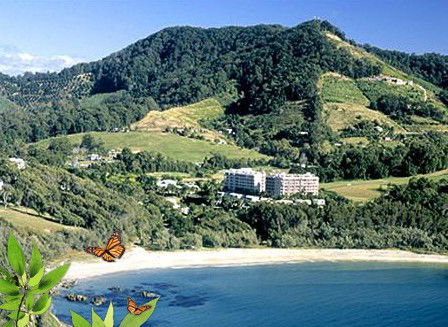 Absolute Beachfront Novotel Pacific Bay - Accommodation Tasmania 3