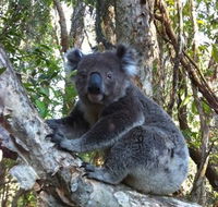 O'Carrollyns At One Mile Beach - Accommodation Tasmania