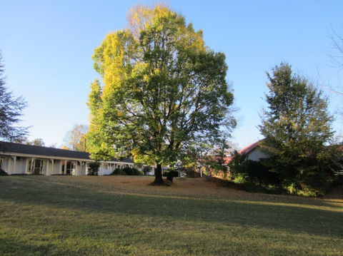Moore Park Inn - Accommodation Tasmania 0