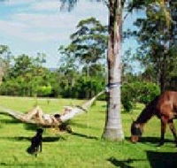 Neds Bed Horse O Tel - Accommodation Tasmania