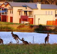 Grand Mercure The Vintage Hunter Valley - Accommodation Tasmania