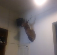 Union Hotel - Accommodation Tasmania