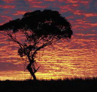 Kimba Caravan Park amp Motel - Accommodation Tasmania