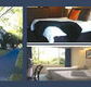 The Albany - Accommodation Tasmania