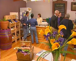 Settlers Ridge Organic Wines - Accommodation Tasmania 0