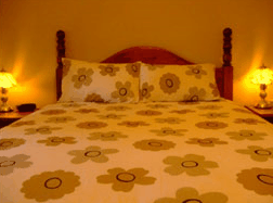  Accommodation Tasmania