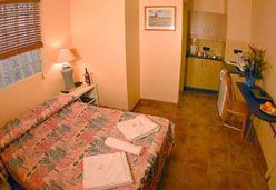City Palms Motel - Accommodation Tasmania 1