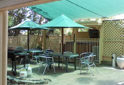 City Palms Motel - Accommodation Tasmania 4