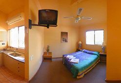 City Palms Motel - Accommodation Tasmania 5