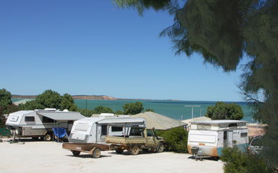 Blue Dolphin Caravan Park And Holiday Village - Accommodation Tasmania 0