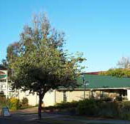 Riverland Motor Inn - Accommodation Tasmania