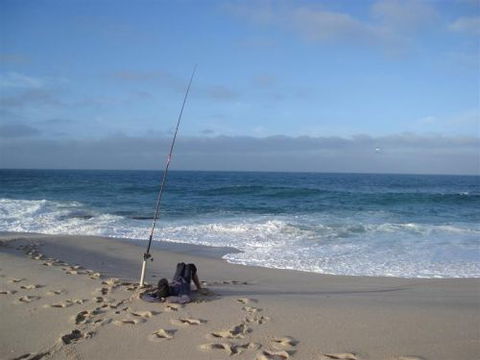 Kalbarri Accommodation Service - Accommodation Tasmania 7