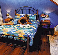 Parryville Chalets - Accommodation Tasmania