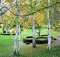 Villarett Gardens - Accommodation Tasmania