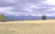 Sherwoods Cottage Farmstay - thumb 0