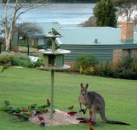 Gipsy Point Lakeside - Accommodation Tasmania