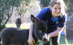 Donkey Tales Farm Cottages - thumb 1