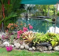 Daintree Wild Bed And Breakfast - Accommodation Tasmania
